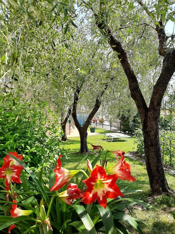 Apartment Maria Brenzone sul Garda Zewnętrze zdjęcie